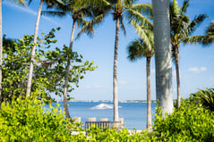 Looking out over the water on Eagle Perch Island